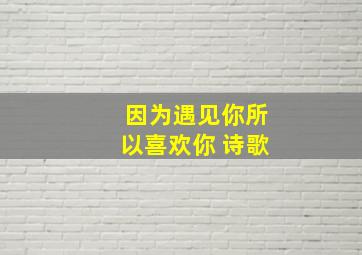 因为遇见你所以喜欢你 诗歌